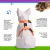 Imagem do Kit Peitoral H + Coleira + Guia para Cães Laranja Neon