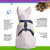 Imagem do Peitoral H para Cães Dark Blue