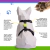 Imagem do Kit Peitoral H + Coleira + Guia para Cães Black - Detalhes Verdes