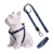 Kit Peitoral Americano + Coleira + Guia para Cães Dark Blue - comprar online