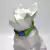 Imagem do Coleira para Cães Verde Neon - Detalhes Azul