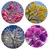 Kit 4 Mudas de Ipê – Rosa, Branco, Amarelo e Roxo - 1M - Jobar Agro