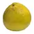 Muda de Laranja Champanhe Enxertada - comprar online