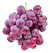 Muda de Uva Niagara Rosa Enxertada - Jobar Agro