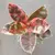 Ficus Elastica Ruby PT17 na internet
