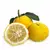 Muda Limão Japonês Yuzu Enxertado - comprar online