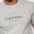 Camiseta Calvin Klein Flame Mascla NY - comprar online