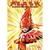 FLASH : EL HOMBRE MAS RAPIDO DEL MUNDO