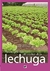 MANUAL PRACTICO DEL CULTIVO DE LA LECHUGA