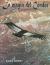 LA MAGIA DEL CONDOR
