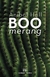 BOOMERANG