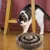 Placa Mágica para Gatos - loja online