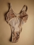Body mesh con lentejuela