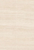 Savona Beige (60 x 120)