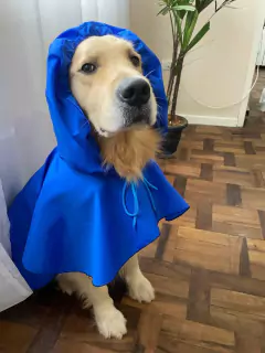 Capa de Chuva pet
