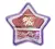 Rubor COMPACTO estrella STAY FIX tono ST10.