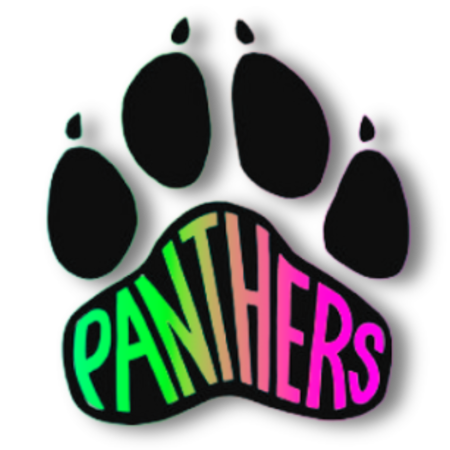 Panther Shoes