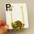 Pin