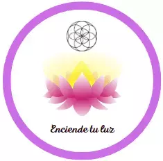 ELEVA TU ENERGIA - Aroma limón / Trozos de limón deshidratado - ENCIENDE TU LUZ MX