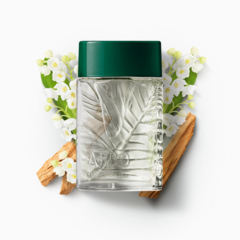 Perfume Arbo O Boticário Desodorante Colônia 100ml na internet
