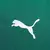 Imagem do Camisa Palmeiras I 25/26