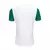 Camisa Palmeiras II 25/26 - comprar online