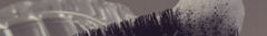 Banner de la categoría Pestañas
