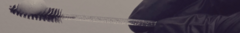 Banner de la categoría Cejas