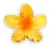 Flowers Lips-pequena - Nathaly Cosméticos
