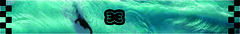 Banner de la categoría Handboard