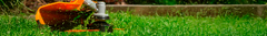 Banner de la categoría Jardineria