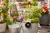 Set de riego solar Gardena AquaBloom - tienda online