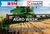 Agro Wash x 1 Lts.