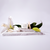 VELA FLOR DE CACTOS E LÍRIOS - comprar online