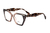 OUT Armação De Acetato Lq5715 C8 Tarta/Rosa