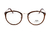 Armação De Acetato Mc7027 C7 Marrom