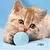 Bola Rolante Inteligente para Pets na internet