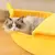 Cama Para Gatos - shopstarpet