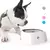 Bacia plástica da água potável para o cão e o gato - comprar online