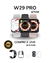 W29 PRO - 47mm + BRINDES