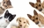 Banner de vortice360