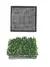 Cultivador de plantas cerâmico 6,5x6,5cm EDD05 ISTA