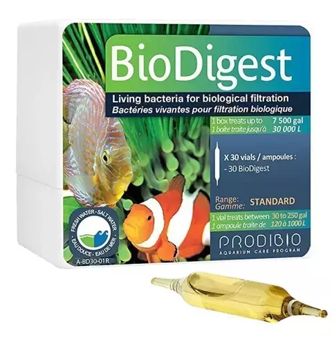 Biodigest Ampola Prodibio (1 Ampola)