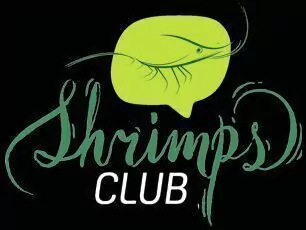 Shrimps Club