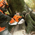 MOTOSIERRA MS310 - 59CC - 5,9KG - 4,4HP - 50CM STIHL - comprar online