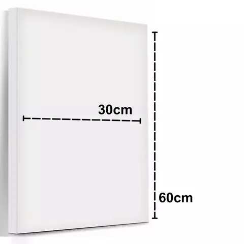 TELA DE PINTURA 30X60