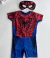 Fantasia Homem-Aranha