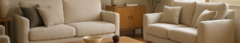 Banner de la categoría Living