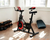 BICI FIJA RANDERS ARG-880SP-R SPINNING B/ELASTICA - comprar online
