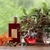 ￼Perfume Ameerat Al Arab Eau de Parfum 100ml - Fraganzzi